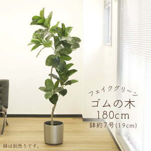 yP10{ z tFCNO[ ϗtA Ƃ悹i y[J[izS̖(|bgt)sρEiƓst ϗtA 1.8m 180cm ^  AXJ ASCA AXJ