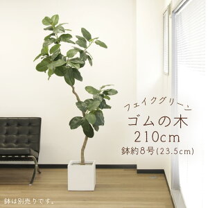 y|Cg10{IX[p[Z[Iz tFCNO[ ϗtA Ƃ悹i y[J[izS̖(|bgt)sρEiƓst ϗtA 2m 210cm ^  t 