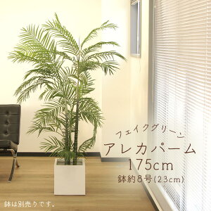 フェイクグリーン 観葉植物 とりよせ品 【メーカー直送品】 アレカパーム(S) (ポット付) 175cm《代引不可・他商品との同梱不可》 観葉植物 1.8m 春 アスカ ASCA アスカ商会