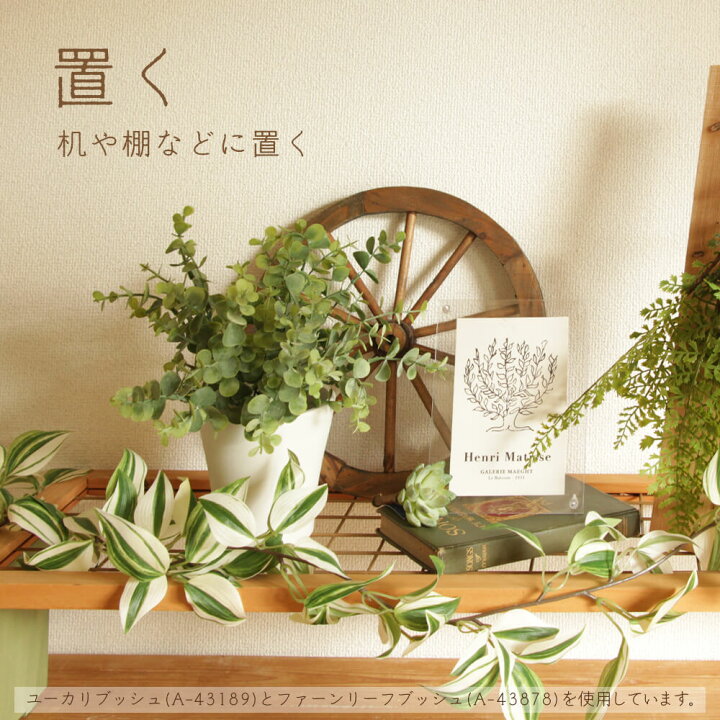 楽天市場】造花 グリーン とりよせ品 スプレンゲリーブッシュ 壁面緑化 