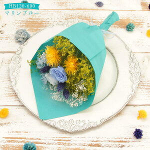 y|Cg3{I30Iz vU[uht[ hCt[ v[g o oƃfCW[̃nbs[u[P a j av[g ԑ  hCt