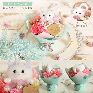  v[g o ӂӂAj}̃A[gt[u[P a j av[g J[l[V K[x  ԑ Mtg IV  u[P