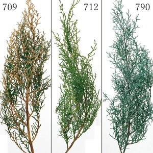 �yP10�{ 12/31�܂ŁI�z �v���U�[�u�h�t�����[ �ԍ� �Ƃ�悹�i �u���[�A�C�X �h���C�t�����[ �ԍ� �f�� �p�[�c �ޗ� �O���[�� ���[�t �t �v���U�O���[�� �v���U�[�u�h�O���[�� Preserving ��n�_