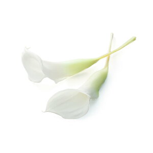 vU[uht[ ԍ Ƃ悹i J[[E (5֓) hCt[ ԍ f p[c ޗ J[B  S vU[uht[   n_