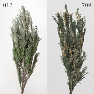 vU[uht[ ԍ o Rqo ԍ f ޗ p[c hCt[ t [t S[h NX}X  XbO u[P vU ԑ [X  n_