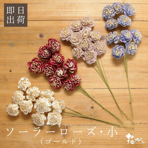 yP10{ z nhCht[ ԍ o \[[[YE ԍ f ޗ p[c.\t[ [Y o KN nhCht[ sN  zCg   n_