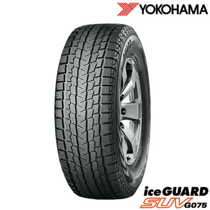 楽天市場】在庫有即納 送込(北海道/沖縄は除く) 2023年製 Ice Guard 