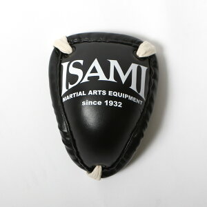 yISAMI CT~zBX-22 O[CJbv@ԁEE