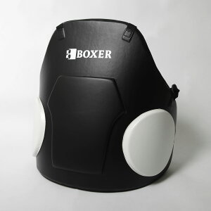 yISAMI CT~zCBX-1 BOXER{fBveN^[