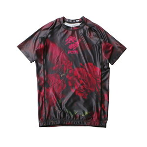 yISAMI CT~zJJP-820-R fB[XbVK[hLilyRose