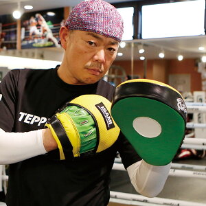 【ISAMI イサミ】NS-110 パンチングミットNS