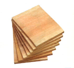 �yISAMI �C�T�~�zC-100 ������ 4���� 1��12mm