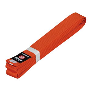 �yISAMI �C�T�~�zF-305B �C�O���I�����W�� 0�`3��