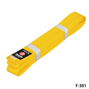 yISAMI CT~zF-301 { с@2`4y󒍐Yz
