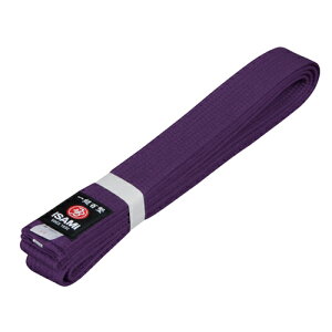 �yISAMI �C�T�~�zF-304B �C�O�� ���� 0�`3��