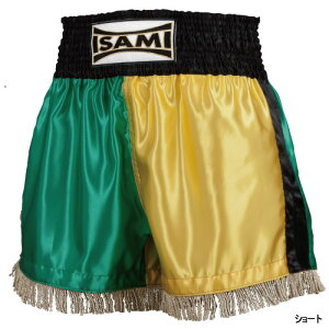 yISAMI CT~zIS-40S TeV[gLbNpc