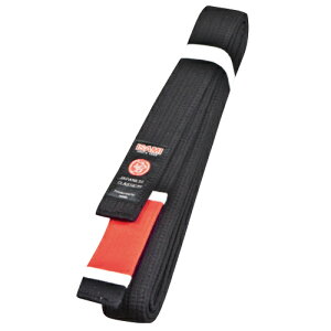 yISAMI CT~zJJ-41 _p (Ct) M3`A1y󒍐Yz