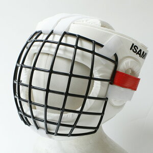 yISAMI CT~zTN-100 wbhK[h2