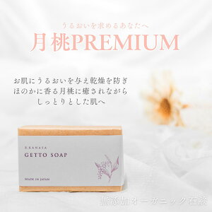 i`Ό PREMIUM Y Ags[ Ԃ񂩂g Ό  p  ljLr  Sg Ԃ񂩂g v[g Mtg