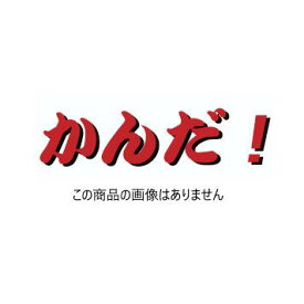 アサダ コントロールスイッチ付ホース UG005