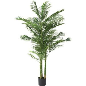 ysxϏizJ(܂) tFCNO[ AJV GRN-19y[J[iz