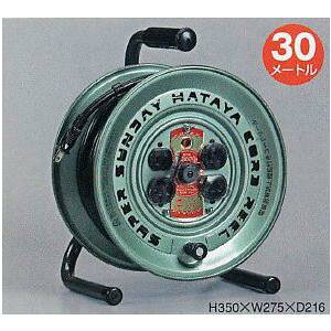 �n�^�����~�e�b�h ���x�Z���T�[ �X�[�p�[�T���f�[���[�� 100V�^ SGV-30