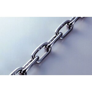 Ђ߂ XeX wr[N`F|iGpj 30m 1{ SW-2