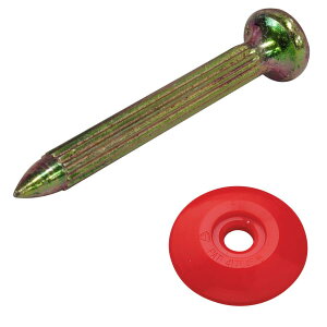 V@iSKjRmG lCZbg  No.1S y[J[iz