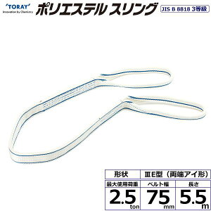  |GXeXO PET3E [AC` 2.5ton 75mm 5.5m PET3E-75X5.5y[J[z