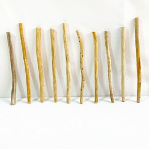  _ } 30cmȓ CeA ϗtA nMO nK[ ݂艺 Ǌ| | 1mȉ  Z  ׂ    ؃A[g DIY ݂邷  f 摜 1_ EbhXeBbN _