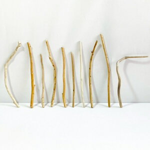 ���� �_ �} 30cm�ȓ� �C���e���A �ϗt�A�� �n���M���O �n���K�[ �݂艺�� �Ǌ|�� ���| 1m�ȉ� ���� �Z�� ���� �ׂ� �� �� �� ���؃A�[�g DIY �݂邷 ���� �f�� �����摜 1�_�� �E�b�h�X�e�B�b�N �_