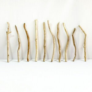 ���� �_ �} 30cm�ȓ� �C���e���A �ϗt�A�� �n���M���O �n���K�[ �݂艺�� �Ǌ|�� ���| 1m�ȉ� ���� �Z�� ���� �ׂ� �� �� �� ���؃A�[�g DIY �݂邷 ���� �f�� �����摜 1�_�� �E�b�h�X�e�B�b�N �_