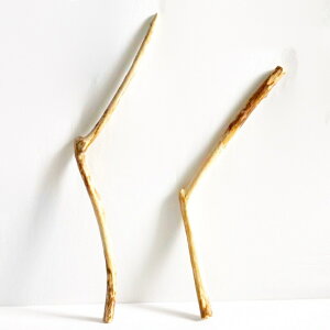  _ } 30cm`50cm CeA ϗtA nMO nK[ ݂艺 Ǌ| | 1mȉ  Z  ׂ    ؃A[g DIY ݂邷  f 摜 1_ EbhXeBbN 