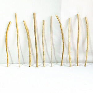  _ } 30cm`50cm CeA ϗtA nMO nK[ ݂艺 Ǌ| | 1mȉ  Z  ׂ    ؃A[g DIY ݂邷  f 摜 1_ EbhXeBbN 