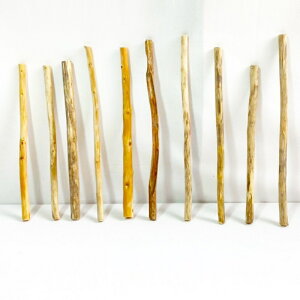  _ } 30cm`50cm CeA ϗtA nMO nK[ ݂艺 Ǌ| | 1mȉ  Z  ׂ    ؃A[g DIY ݂邷  f 摜 1_ EbhXeBbN 