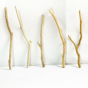  _ } 30cm`50cm CeA ϗtA nMO nK[ ݂艺 Ǌ| | 1mȉ  Z  ׂ    ؃A[g DIY ݂邷  f 摜 1_ EbhXeBbN 