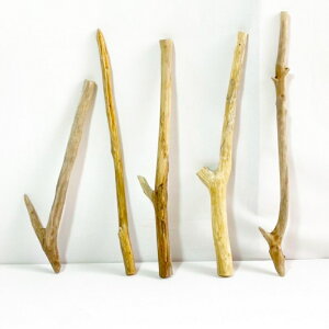  _ } 30cm`50cm CeA ϗtA nMO nK[ ݂艺 Ǌ| | 1mȉ  Z  ׂ    ؃A[g DIY ݂邷  f 摜 1_ EbhXeBbN 