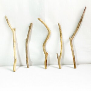  _ } 30cm`50cm CeA ϗtA nMO nK[ ݂艺 Ǌ| | 1mȉ  Z  ׂ    ؃A[g DIY ݂邷  f 摜 1_ EbhXeBbN 