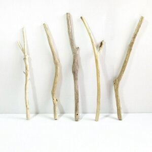 ���� �_ �} 30cm�`50cm �C���e���A �ϗt�A�� �n���M���O �n���K�[ �݂艺�� �Ǌ|�� ���| 1m�ȉ� ���� �Z�� ���� �ׂ� �� �� �� ���؃A�[�g DIY �݂邷 ���� �f�� �����摜 1�_�� �E�b�h�X�e�B�b�N 