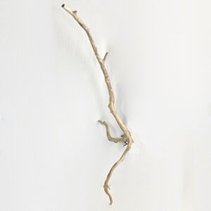   nMO _ f CeA 1_ _ IuWF CAEg DIY_boe0614
