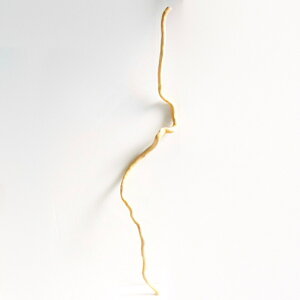   nMO _ f CeA ϗtA nK[ ݂艺 Ǌ| | 1mȏ  Z  ׂ    ؃A[g DIY ݂邷  f 1_ 摜  _ _[W