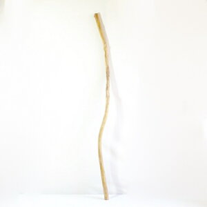   nMO _ f CeA ϗtA nK[ ݂艺 Ǌ| | 1mȏ  Z  ׂ    ؃A[g DIY ݂邷  f 1_ 摜  _ _[W