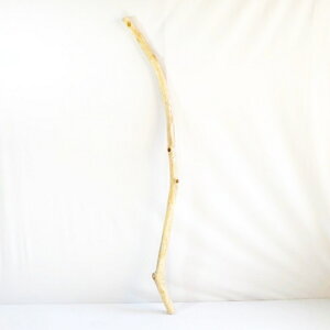   nMO _ f CeA ϗtA nK[ ݂艺 Ǌ| | 1mȏ  Z  ׂ    ؃A[g DIY ݂邷  f 1_ 摜  _ _[W