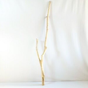   nMO _ f CeA ϗtA nK[ ݂艺 Ǌ| | 1mȏ  Z  ׂ    ؃A[g DIY ݂邷  f 1_ 摜  _ _[W