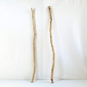   nMO _ f CeA ϗtA nK[ ݂艺 Ǌ| | 1mȏ  Z  ׂ    ؃A[g DIY ݂邷  f 1_ 摜  _ _[W