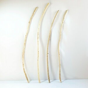   nMO _ f CeA ϗtA nK[ ݂艺 Ǌ| | 1mȏ  Z  ׂ    ؃A[g DIY ݂邷  f 1_ 摜  _ _[W