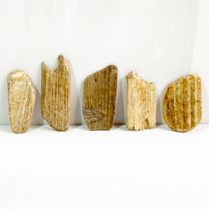 ���� �� �v���[�g �N���t�g DIY diy �n���h���C�h �ޗ� �p�� �_���[�W�E�b�h ���� �I�� �C���e���A �G�� �؍� �I �ǔ� �G�A�v�����c ��� �Ǌ|�� �I��� �H�� �ޗ� ���^ ��^ �x���` ���� 30cm