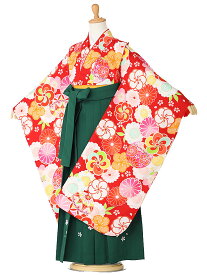 【卒園式 女の子 袴】着物レンタル 身長120cm 125cm 130cm 7歳 保育園 幼稚園 園児 往復送料無料 菊梅 赤 hK7331【レンタル】
