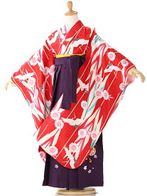 【レンタル】【卒園式 女袴】【卒業式】赤 着物レンタル 身長120cm 125cm 130cm 6歳 7歳 保育園 園児 幼稚園 往復送料無料 igj0001