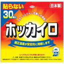 KOWA ホッカイロ 貼らない レギュラー 30個入 〔カイロ〕 ホツカイロハラナイレギユラー30コ